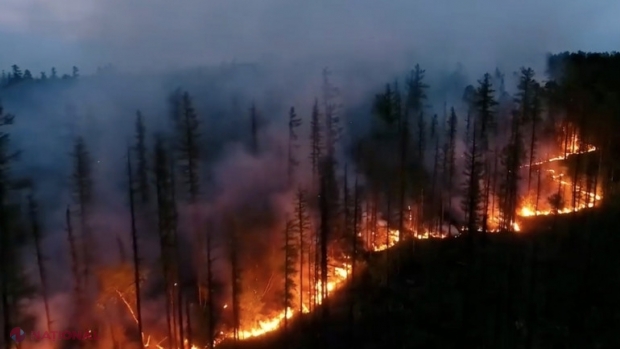 Siberia în flăcări. Una dintre cele mai reci regiuni din lume, cuprinsă de sute de incendii: Ne sufocăm, plămânii sunt otrăviți de fum