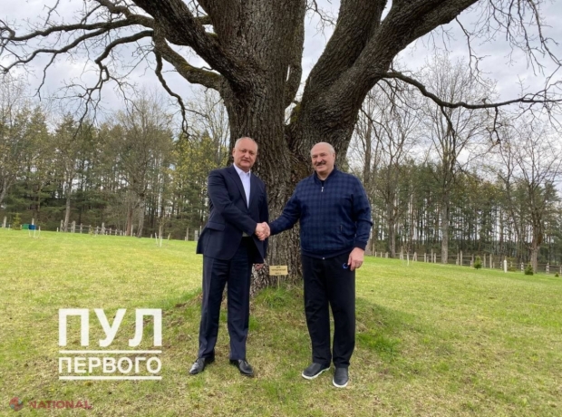 FOTO // Igor Dodon, „UMBRA” Zinaidei Greceanîi. Socialistul s-a folosit de vizita oficială în Belarus a spicherului și a pozat alături de „ultimul dictator” din Europa, Alexandr Lukașenko