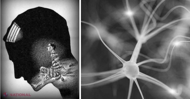 AUTOEDUCAȚIE // Cum putem obține tot ce ne dorim de la viață fără prea mult efort