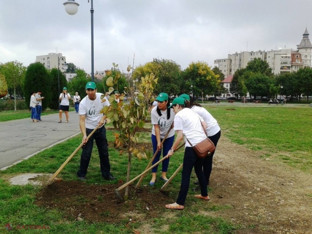 Acțiune de PLANTARE a arborilor, astăzi, în toată republica