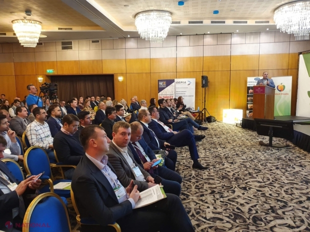 România a importat în acest an din R. Moldova peste 13 mii de tone de struguri, peste 12 mii de tone de prune și trei tone de mere 