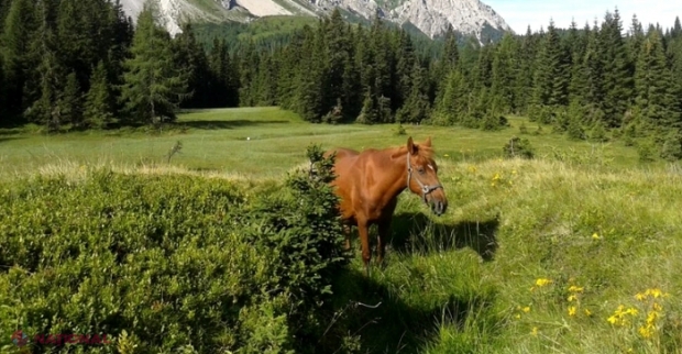 Regiunea din Italia care rambursează biletele turiștilor