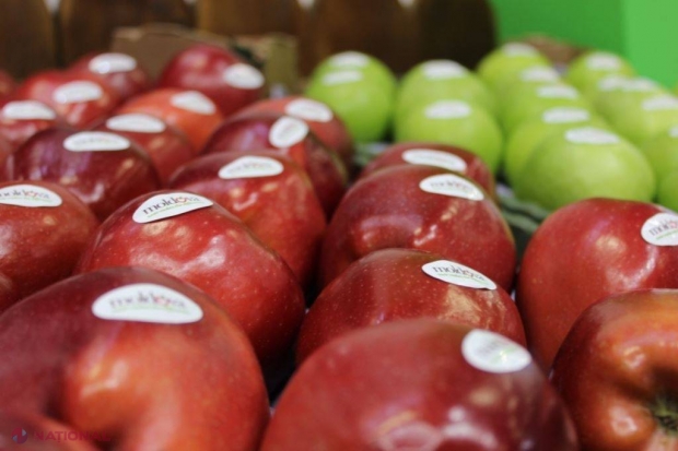 Fructele din R. Moldova, prezentate la Berlin