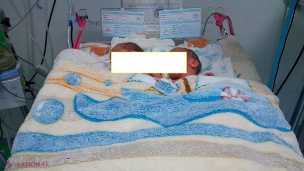Bucurie de nedescris într-o familie din Orhei. O mămică a dat naștere la PATRU bebeluși
