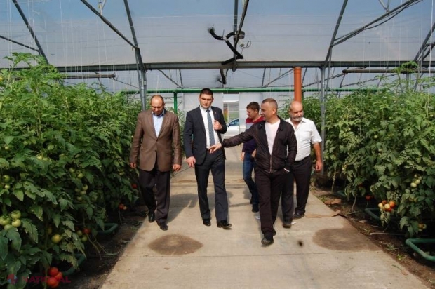 Legume „fără anotimp” la Criuleni