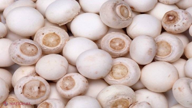 Adevărul nespus despre ciupercile Champignon din supermarketuri. Le consumi fără să ştii asta!