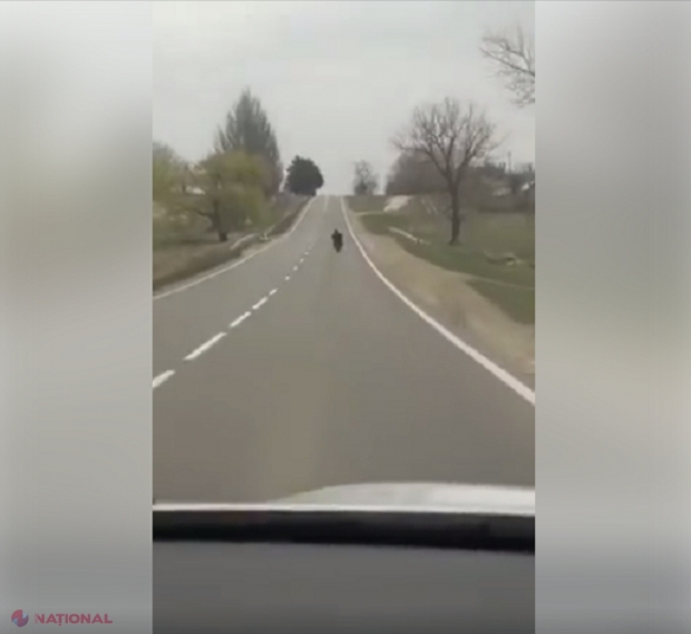 VIDEO // Urmărire ca în filme pe drumurile din Fălești și Sângerei: Un ins a furat o motocicletă și, urmărit de oamenii legii, s-a accidentat