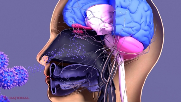 Ce afecțiuni neurologice provoacă COVID-19. „Mortalitatea la cei care au avut una sau mai multe manifestări neurologice a fost de 27%”