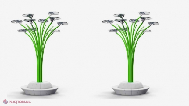 CONCURS // Tinerii arhitecți din R. Moldova, îndemnați să propună PROIECTE pentru amenajarea spațiului aferent arborilor solari care vor fi instalați în Chișinău