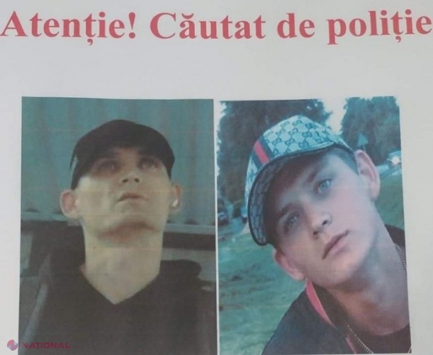 UPDATE, VIDEO // Insul din imagine a fost prins de Poliție, după ce a amenințat o femeie din Hâncești și i-a furat lucrurile de preț din casă