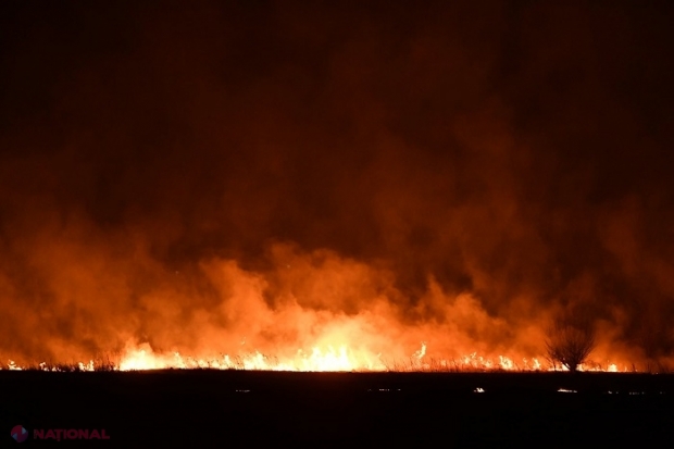 VIDEO // MII de hectare din R. Moldova, COMPROMISE de la începutul anului: Pompierii roagă cetățenii să NU dea foc vegetației, iar poliția amintește sancțiunile pentru arderile necontrolate