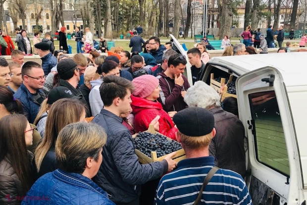Târg în centrul Chișinăului: Agricultorii din R. Moldova au vândut astăzi peste 100 de tone de struguri