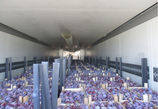 Încă 20 de tone de prune din R. Moldova, NIMICITE în Federația Rusă: Anunțul „Rosselhoznadzor”