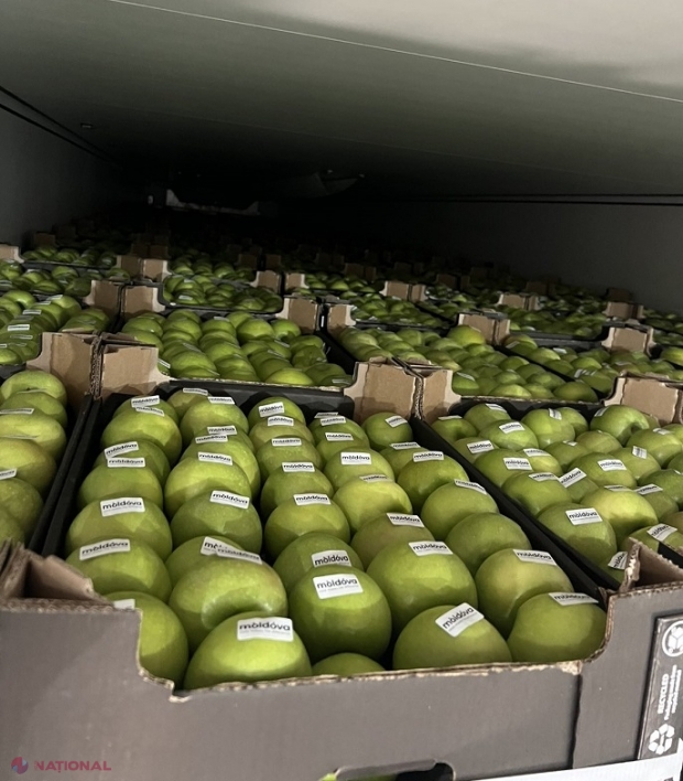Primele 20 de tone de mere din R. Moldova au ajuns în Suedia: „Piața care ieri era doar o destinație spre care ținteam, astăzi devine accesibilă datorită calității fructelor”