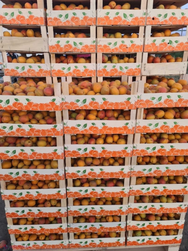 TOP CINCI state în care R. Moldova își vinde cele mai multe produse: România - pe PRIMUL LOC