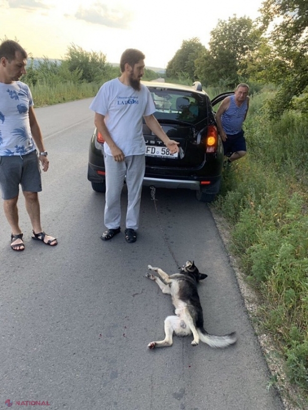 Preotul Ghenadie Văluță, surprins cu un câine legat de mașină, târându-l plin de sânge de asfalt: „A mușcat un copil”