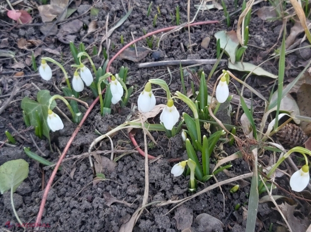 Meteorologii anunță FULGI în următoarele zile: Ce temperaturi vom avea în această săptămână