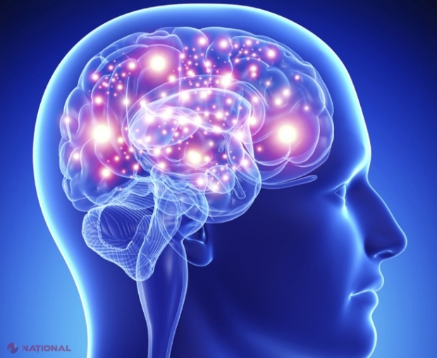 Cele trei vârste la care creierul îmbătrânește brusc. Modalități de a încetini declinul cognitiv