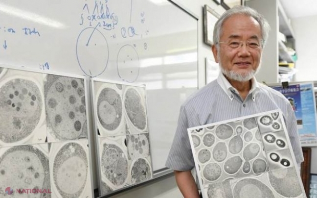 Dieta japonezului LAUREAT al premiului Nobel: ajută la scăderea în greutate şi regenerarea celulară