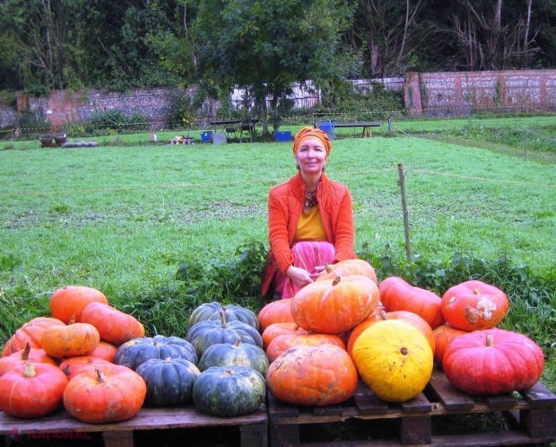 Sfatul nutriționistului // Săptămâna bostanilor