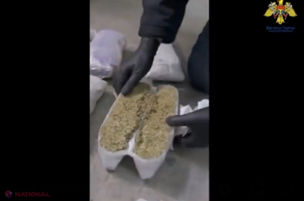 VIDEO // Droguri duse de moldoveni în Uniunea Europeană: Marijuana de un MILION de lei, confiscată de la un grup criminal. Judecătorii i-au trimis acasă pe cei care coordonau „afacerea”