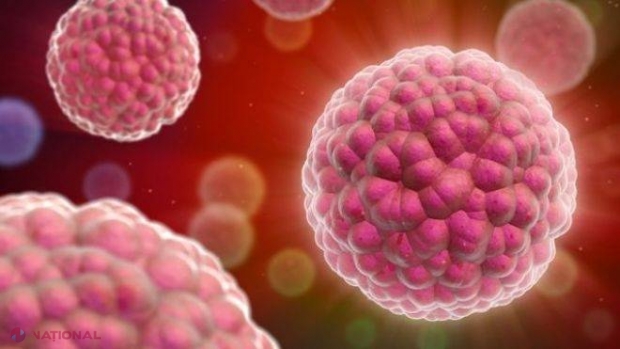 STUDIU: Adevărul DESCURAJATOR despre CANCER