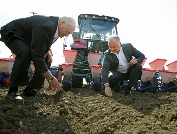 FOTO // Felicitarea lui Dodon adresată lui Lukașenko, neluată în seamă: LIPSEȘTE de pe site-ul oficial al Președinției din Belarus