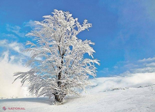În ianuarie se scrie „calendarul meteo” al întregului an! Cum va fi anul 2017