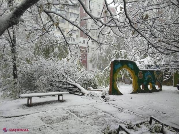 Câți bani s-au adunat pe conturile deschise după ninsoarea din aprilie: Un deputat a donat zeci de mii de lei