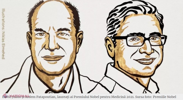 PREMIUL NOBEL pentru MEDICINĂ 2021, acordat lui David Julius și Ardem Patapoutian: Ce descoperire au făcut