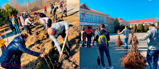 CONCURS // Se caută instituţii de învăţământ din R. Moldova care să primească în DAR câte o LIVADĂ de ALUN