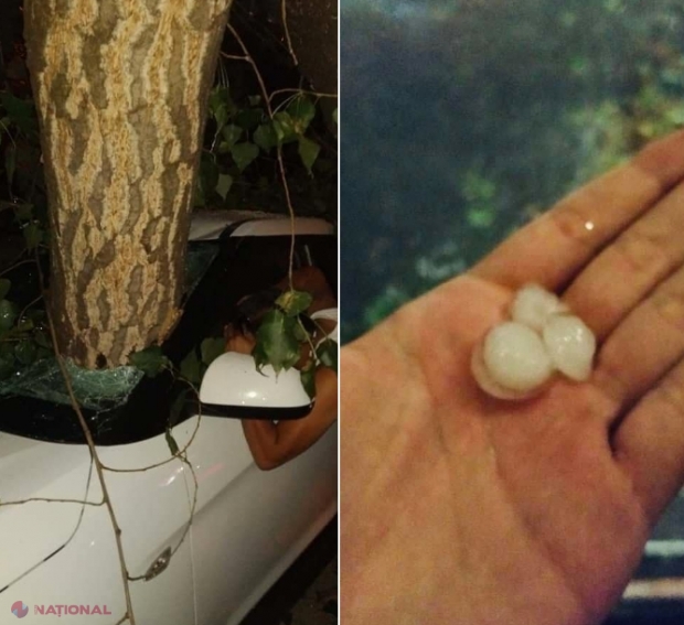 FOTO // Furtuna de joi-seară a doborât zeci de arbori peste case, mașini, drumuri și a lăsat numeroase localități în beznă: Cele mai afectate raioane și străzi din Chișinău