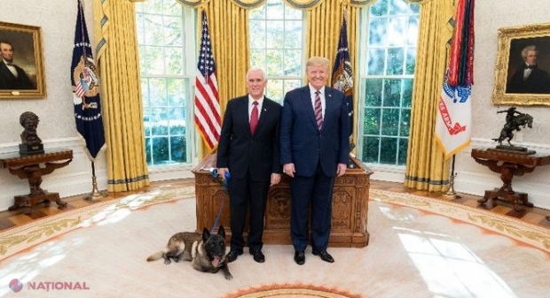 Conan, „câinele erou” al armatei SUA, a fost decorat de președintele Donald Trump la Casa Albă 