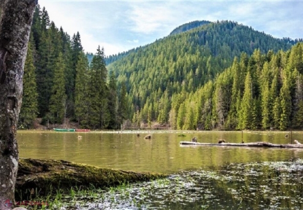 Stațiunea din România în care e bine să mergi toamna. Locul preferat al turiștilor care caută surse de regenerare rapidă pe cale naturală