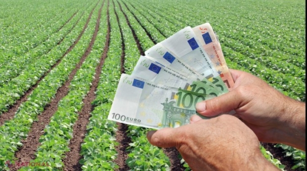 Tinerii și femeile pot solicita, începând de astăzi, SUBVENȚII pentru inițierea afacerilor în agricultură. Se pun la bătaie 45 de milioane de lei