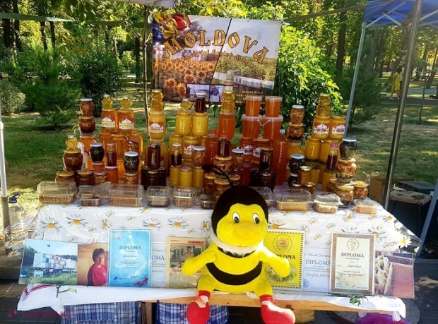 R. Moldova exportă circa 70% din MIEREA produsă: În ce state ajung produsele apicole autohtone
