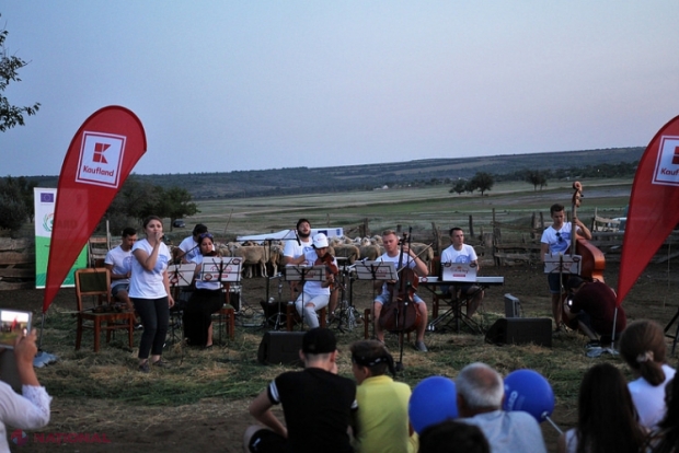 PREMIERĂ în R. Moldova // Concert de muzică clasică la... STÂNĂ: Printre spectatori, 560 de oi