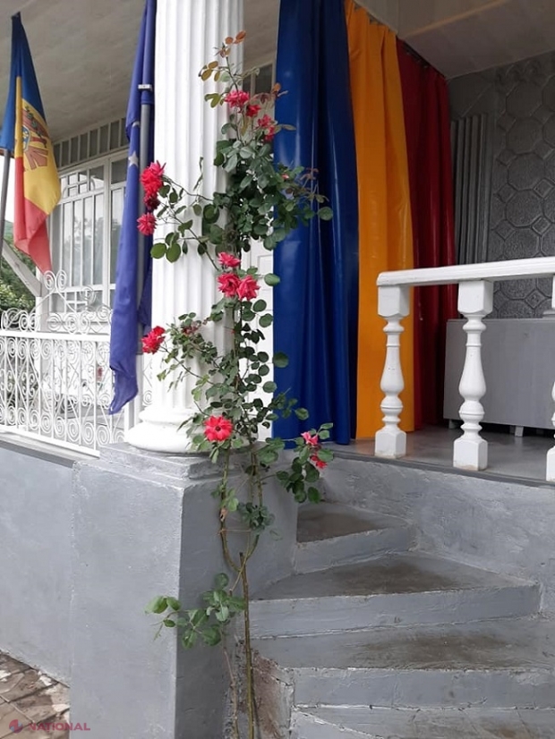 FOTO // Bunica de la Sadova, cea mai SINCERĂ unionistă din R. Moldova: Și-a decorat casa și curtea în culorile drapelului românesc. Până și butoaiele din beci sunt roșii, galbene și albastre. „La mulți ani, România!”