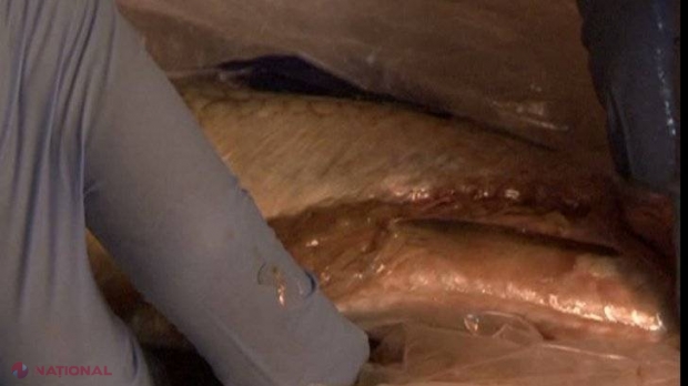 A luat scrumbia din supermarket, a dus-o acasă și s-a ÎNGROZIT. Ce a găsit  când a despicat peștele