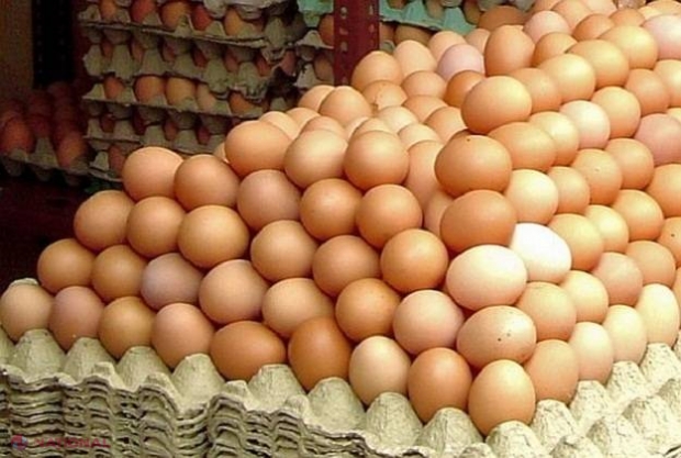 SCANDALUL ouălor infestate! ANSA liniștește spiritele: R. Moldova NU importă ouă din UE 