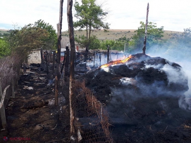 JOCUL cu FOCUL: Șase miei, arși de vii în șoproanele dintr-o gospodărie din Cazangic, după ce niște copii ar fi aprins mai multe chibrituri
