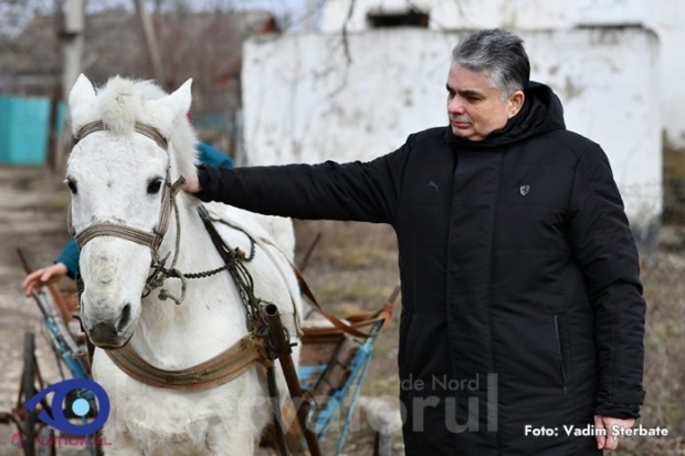 Consulul României de la Bălți a cumpărat la licitație calul școlii din Căinarii Vechi și-l va dona unei mănăstiri