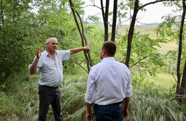 Peste 180 de hectare de pădure de la Ungheni vor fi înregistrate în fondul forestier pentru a fi protejate
