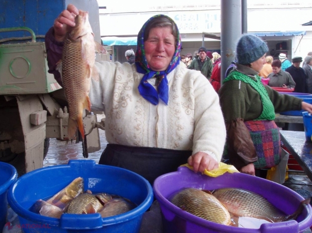 Prețurile de consum s-au majorat cu 7,4% timp de doi ani: În februarie s-au scumpit cel mai mult fructele și legumele