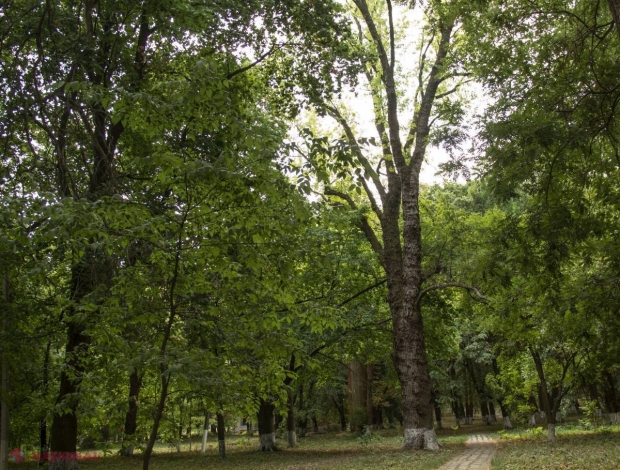 METEO // Norii se mențin și în acest week-end. Cum va fi vremea la începutul lunii septembrie