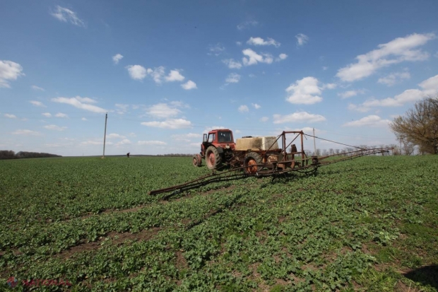 AIPA: Fermierii au MAI MULT TIMP la dispoziție pentru a obține GRANTURI investiționale