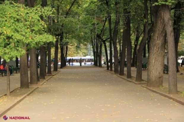 Au alungat gheretele din parcuri, dar intenționează să aducă acolo restaurantele. Anunțul primarului Ceban