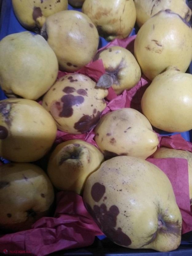 După LACTATE și MEZELURI, a venit și rândul FRUCTELOR și LEGUMELOR: TONE confiscate din magazine