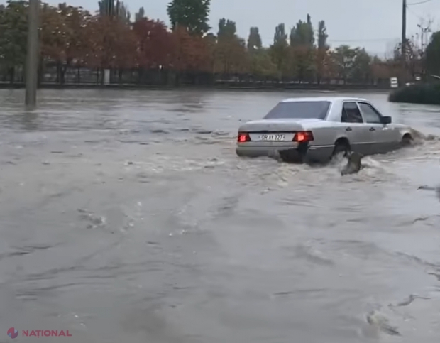 VIDEO // „MAREA” Albișoara de 120 de milioane de lei