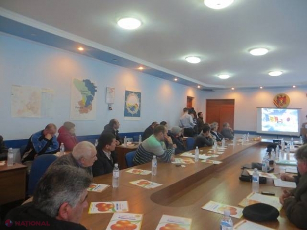 Cultivarea CEPEI în R. Moldova, ca în Coreea de Sud! Recolta este de ZECE ORI mai mare 